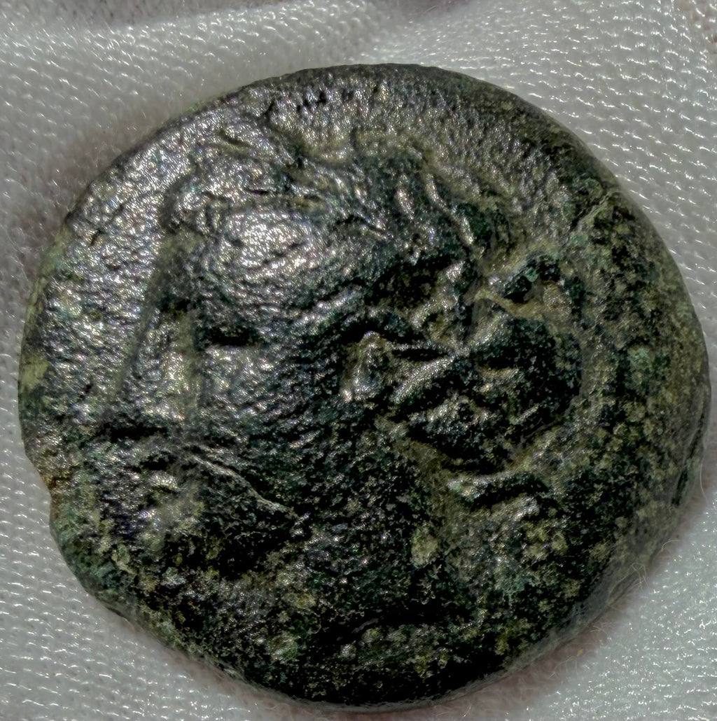 Kardia-Thrace AE21 Persephone/Lion Sears 1598.