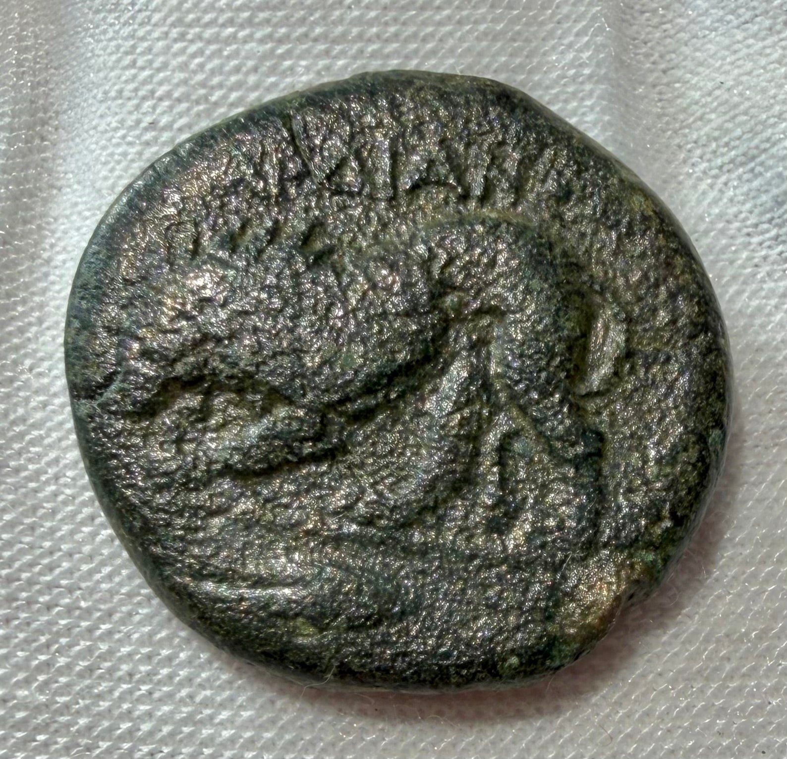 Kardia-Thrace AE21 Persephone/Lion Sears 1598.