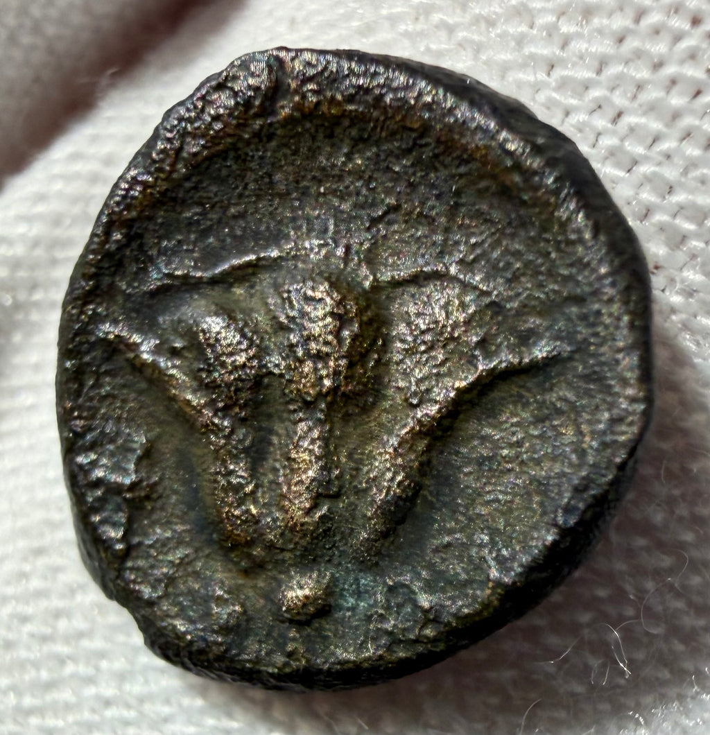 Rhodes-Caria AE12. Rhodes/Rose 1.37 grams. Sears 5071