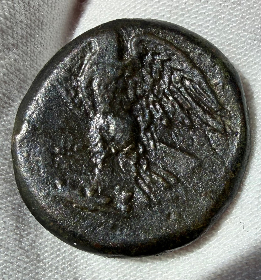 Sicily, Syracuse-Hiketas II-AE24, 11.14 grams