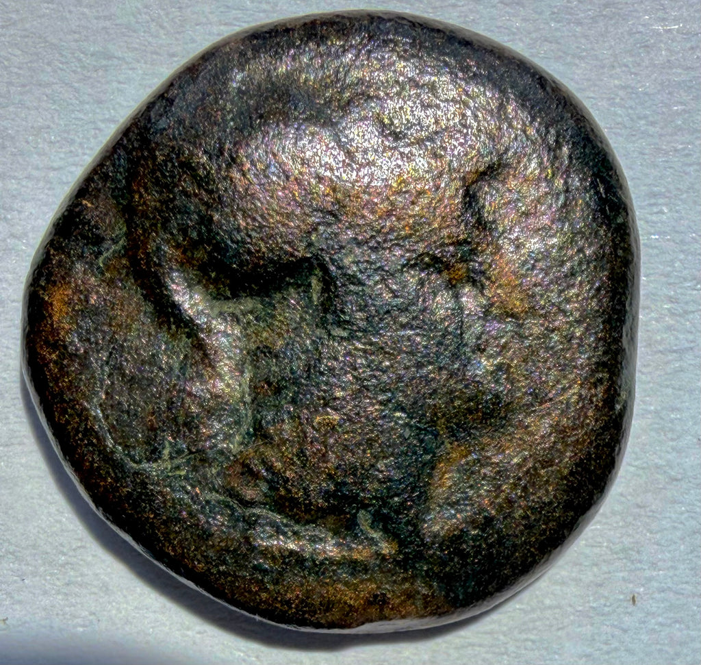 Antigonos II Gonatas AE20 Macedon 277-239 BC Athena / Pan Trophy 7.69g Sear 6786