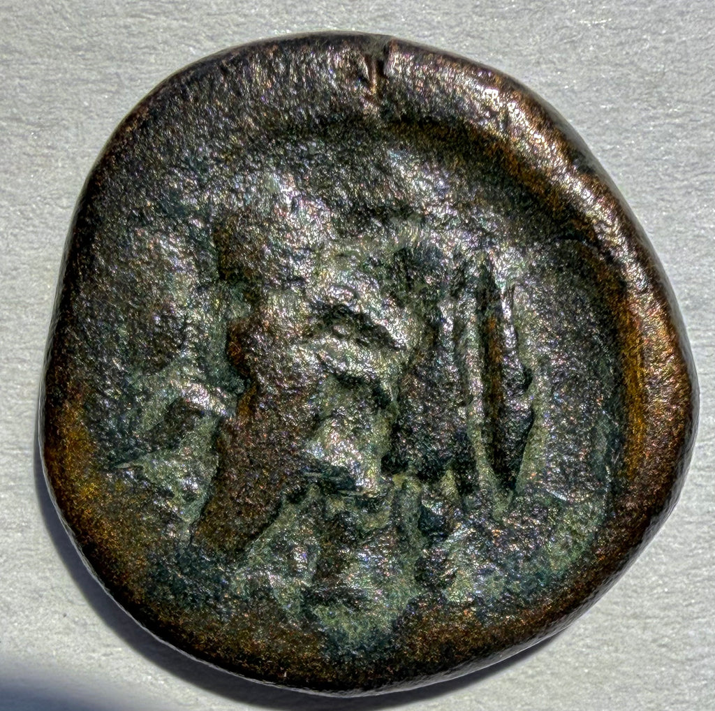 Antigonos II Gonatas AE20 Macedon 277-239 BC Athena / Pan Trophy 7.69g Sear 6786