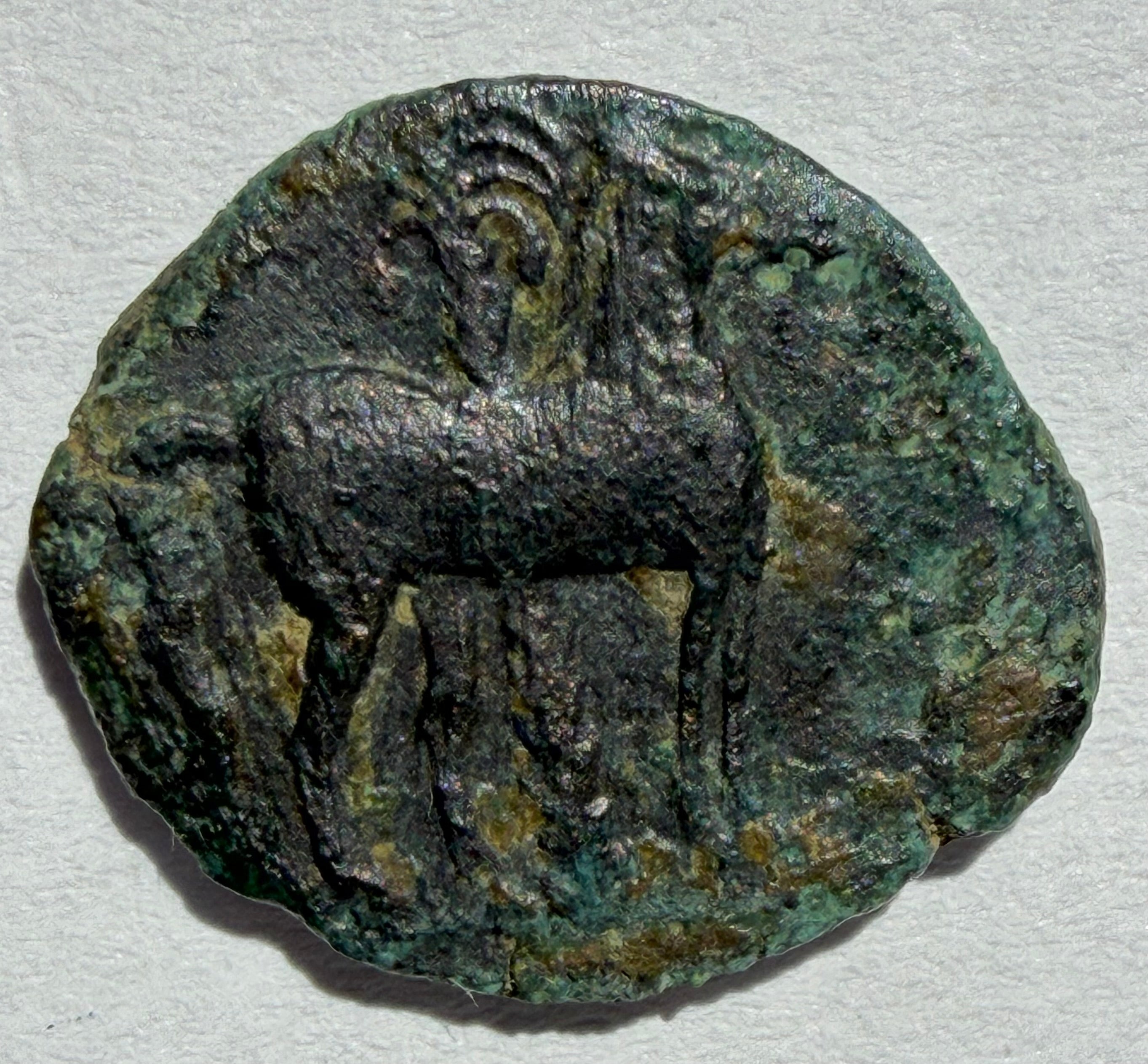 Carthage ae17.Head of Tanit left. Horse standing right palm behind 3rd centuryBC