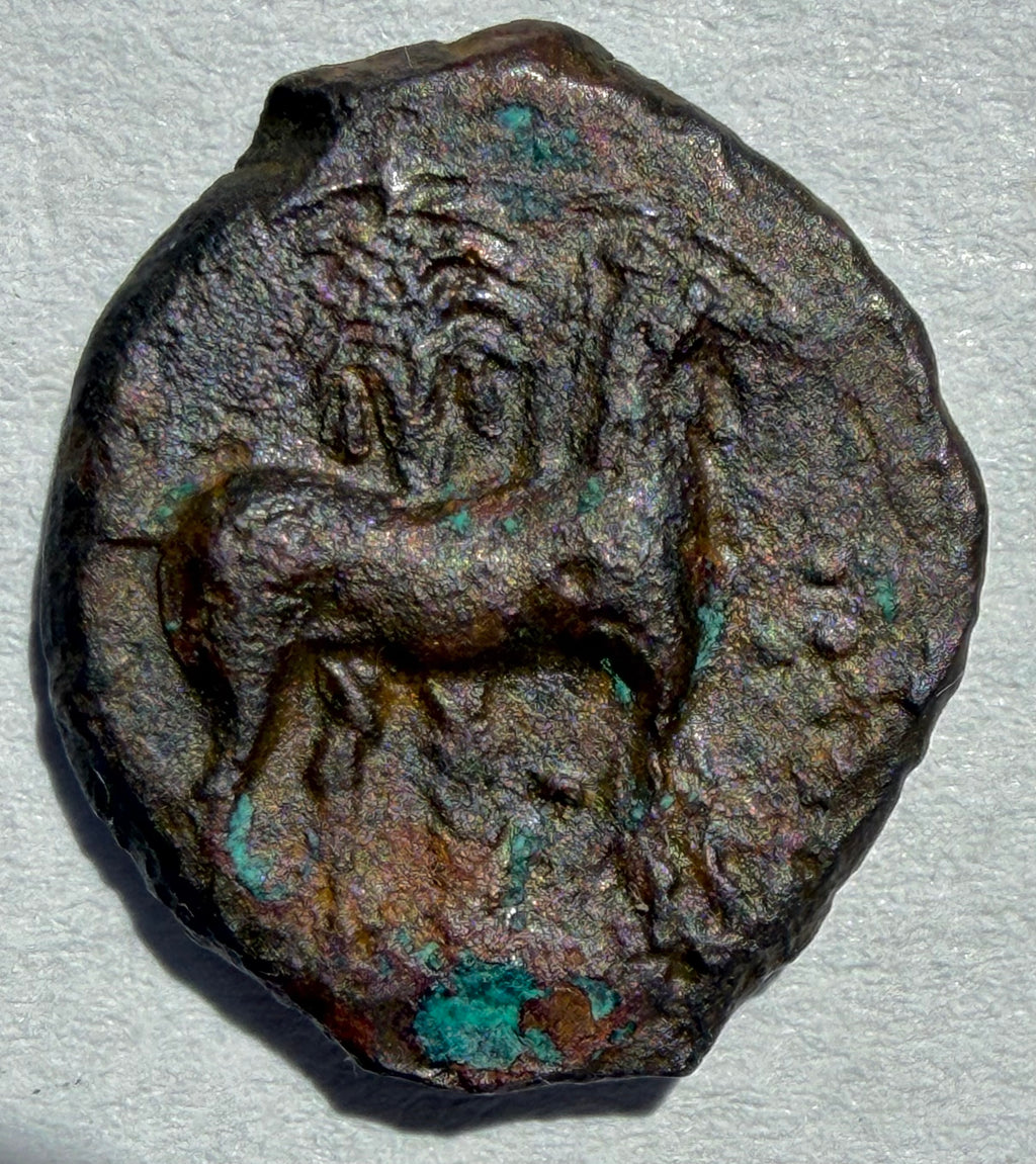 Carthage ae17.Head of Tanit left. Horse standing right palm behind 3rd centuryBC