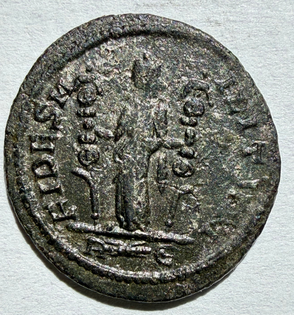 PROBUS Antoninianus 281 AD - FIDES MILITVM - Rome Mint (R⚡E) - superb-Ex Noonans