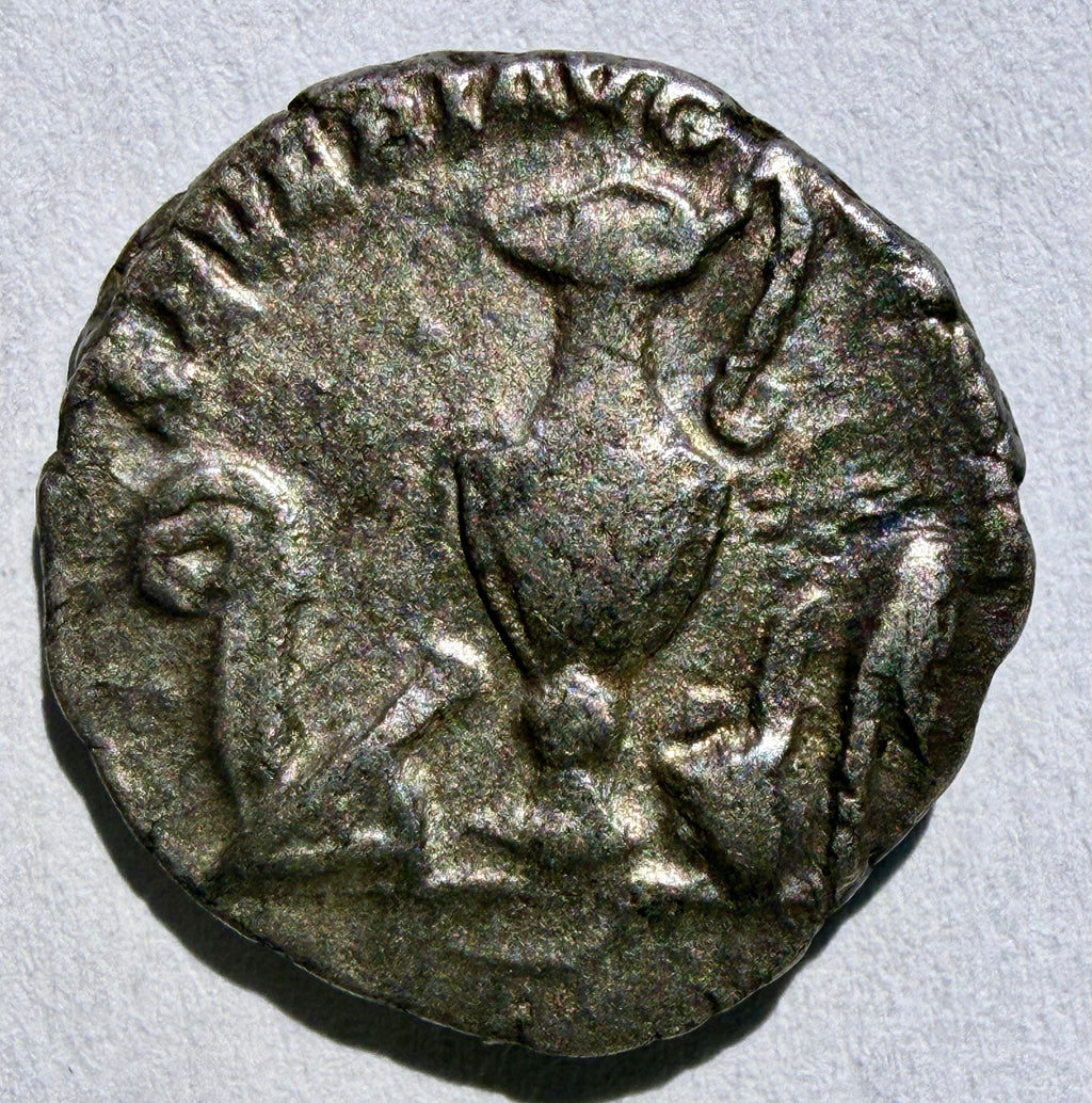 Caracalla. AR Denarius. Priestly Implements-Ex Noonans
