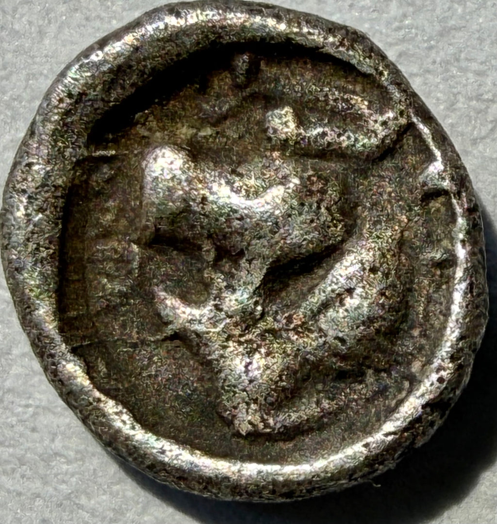 Ancient Greek Hemiobol - Caria, Mylasa (c. 5th c BC) - Lion & Stag -0.26 grams