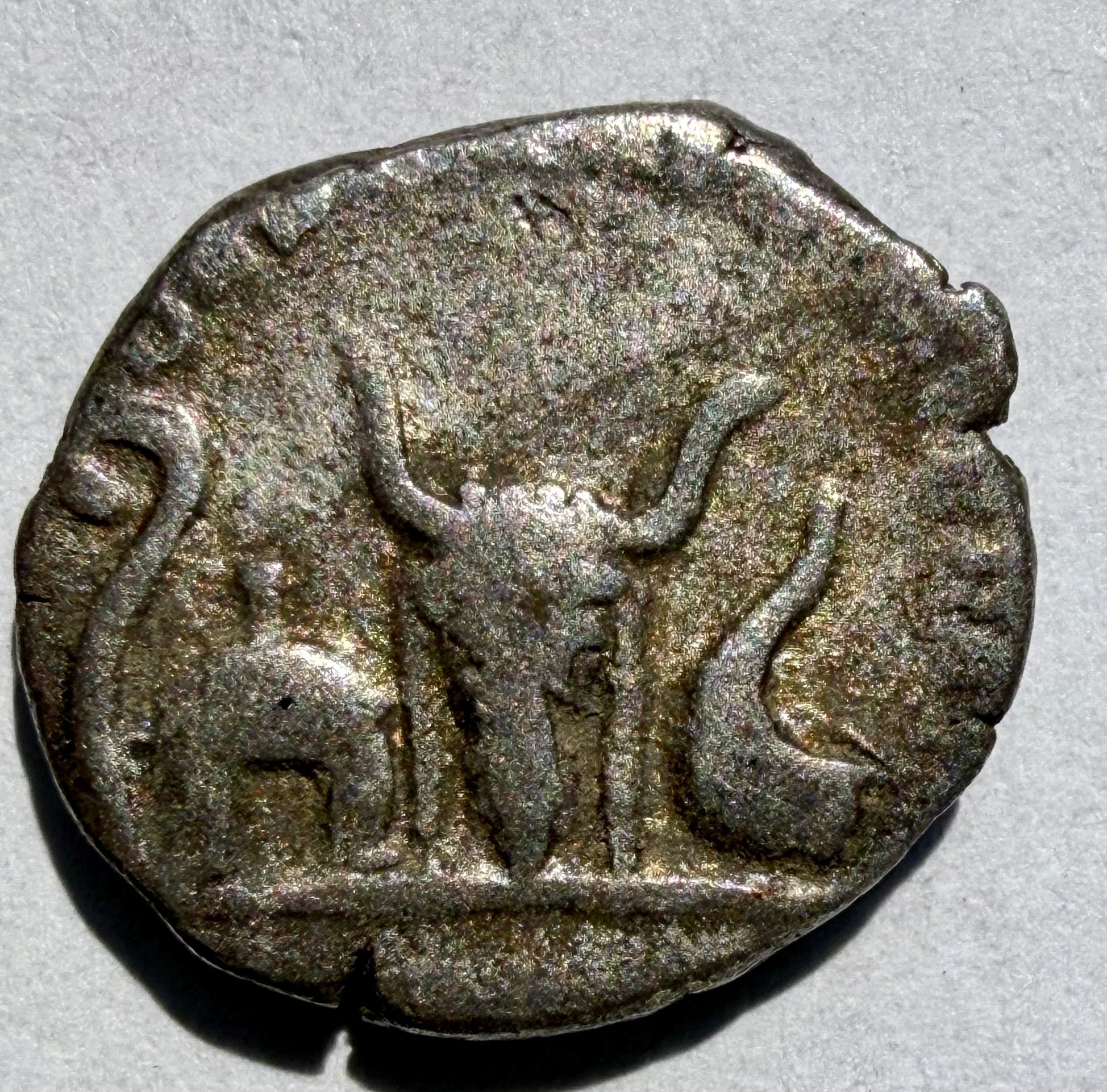 Caracalla AR Denarius - Priestly Implements (Lituus, Axe, Jug) - Ex Noonans