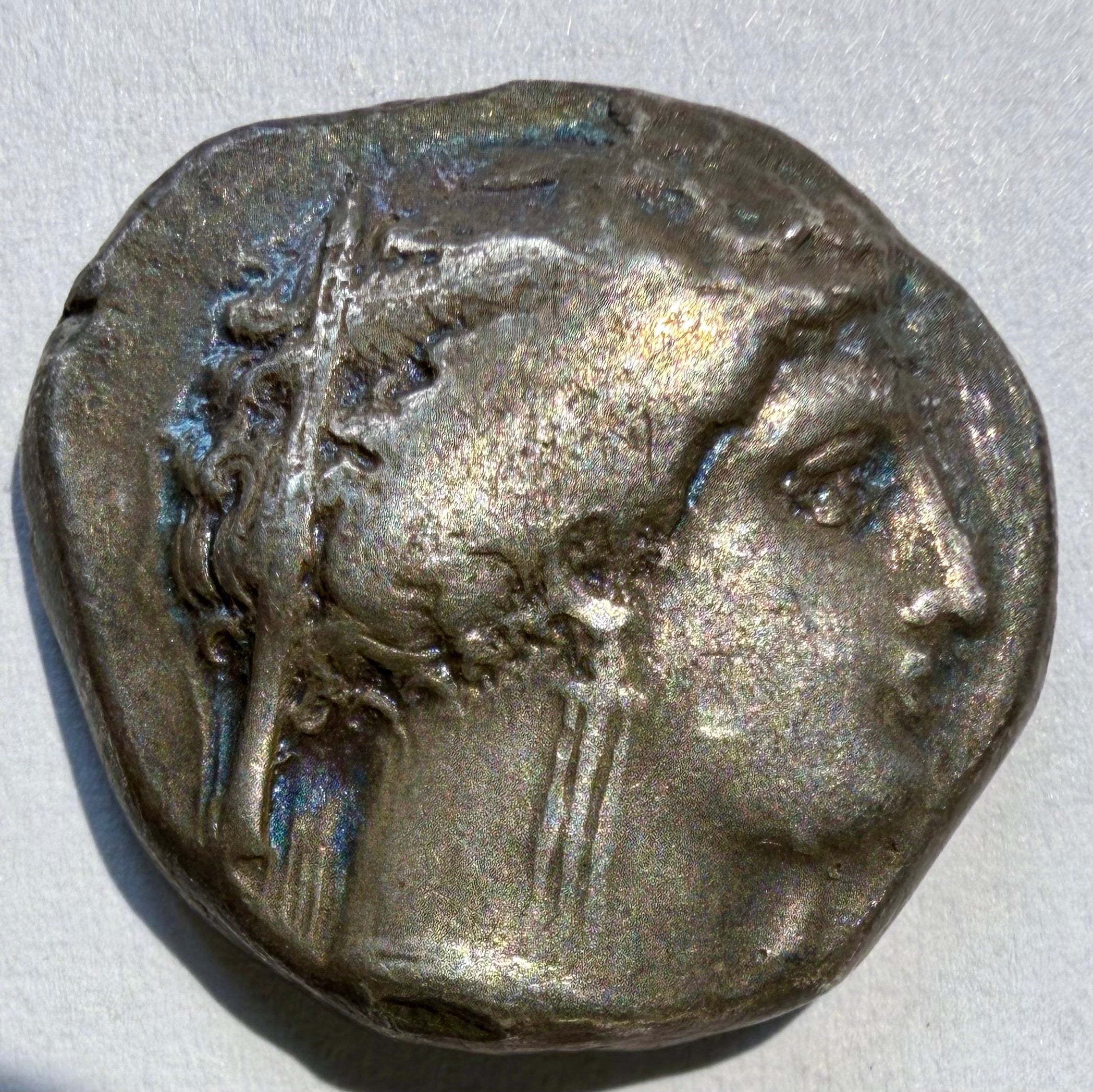Ancient Greek Lucania Metapontion Silver Stater c. 340-330 BC Demeter Mouse φ