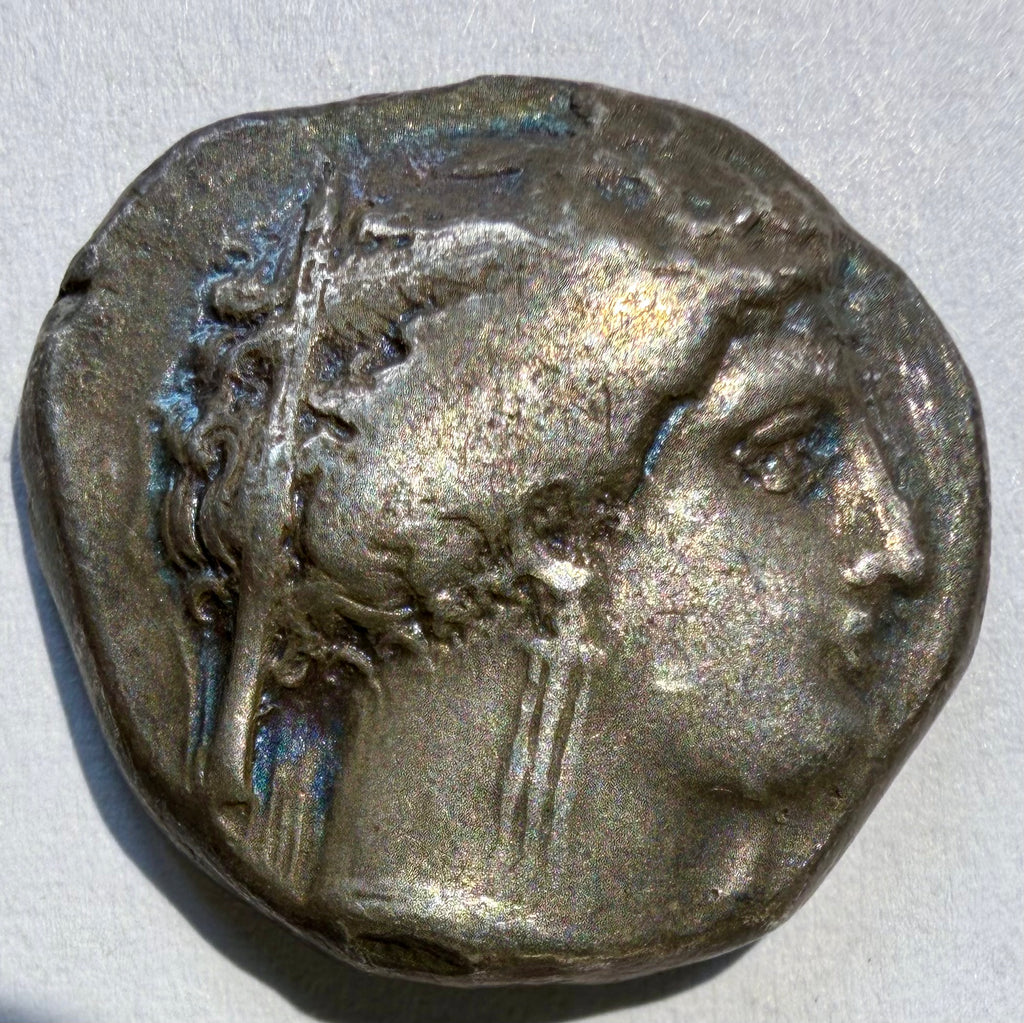 Ancient Greek Lucania Metapontion Silver Stater c. 340-330 BC Demeter Mouse φ