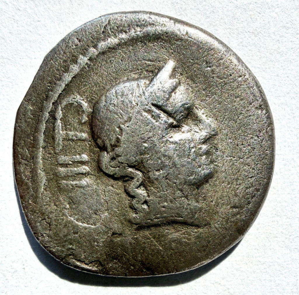 C. Norbanus AR Denarius 83 BC Roman Republic Silver Coin Venus Crawford 357/1b