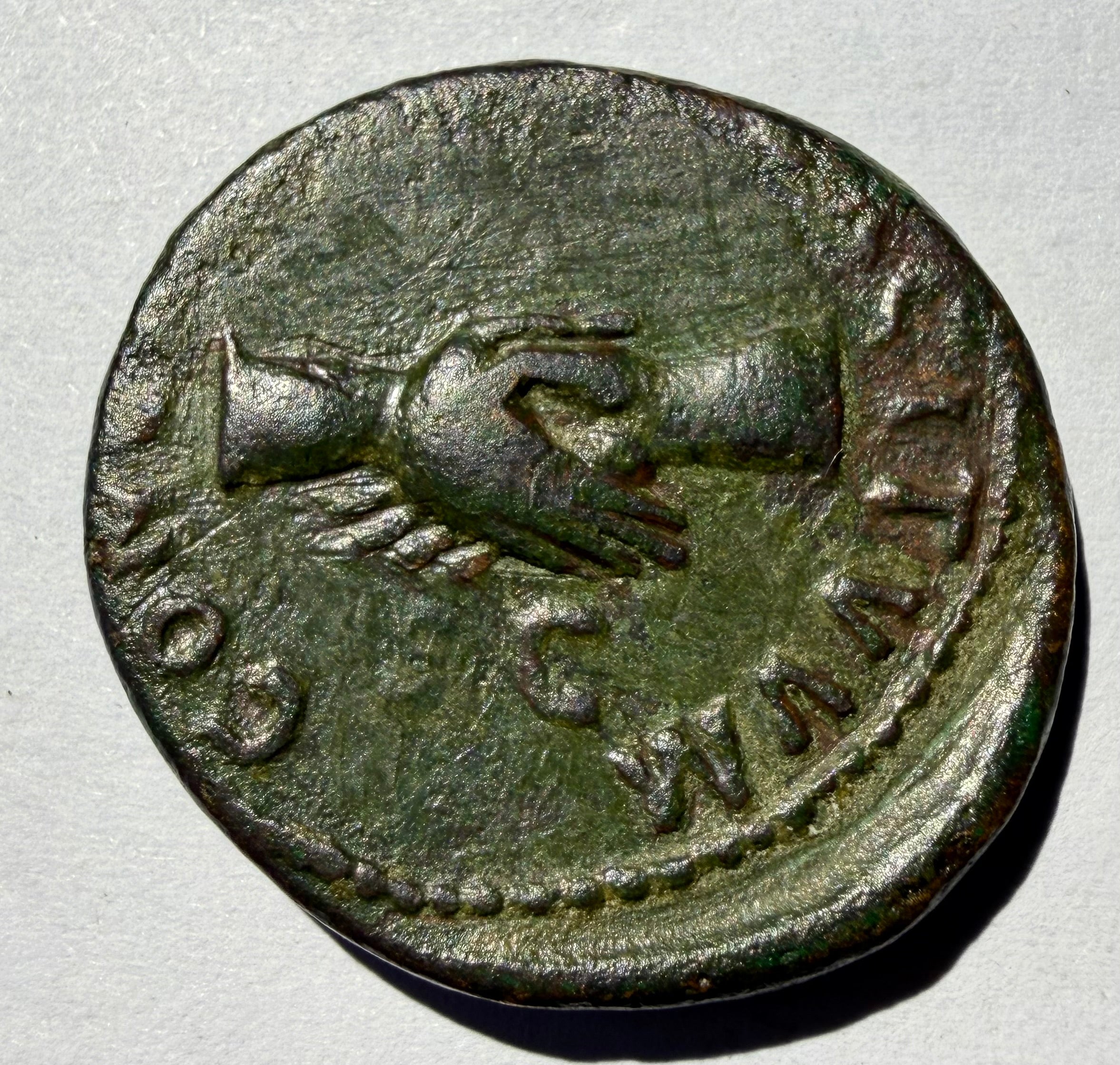 Roman AE as Nerva 96 AD Clasped Hands Concordia Exercituum-high grade
