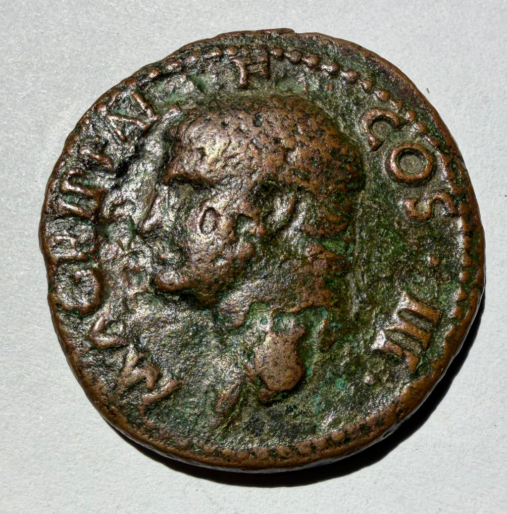 Roman Imperial Agrippa AE As Caligula 37-41 AD Neptune Dolphin RIC 58