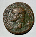 Roman Imperial Agrippa AE As Caligula 37-41 AD Neptune Dolphin RIC 58