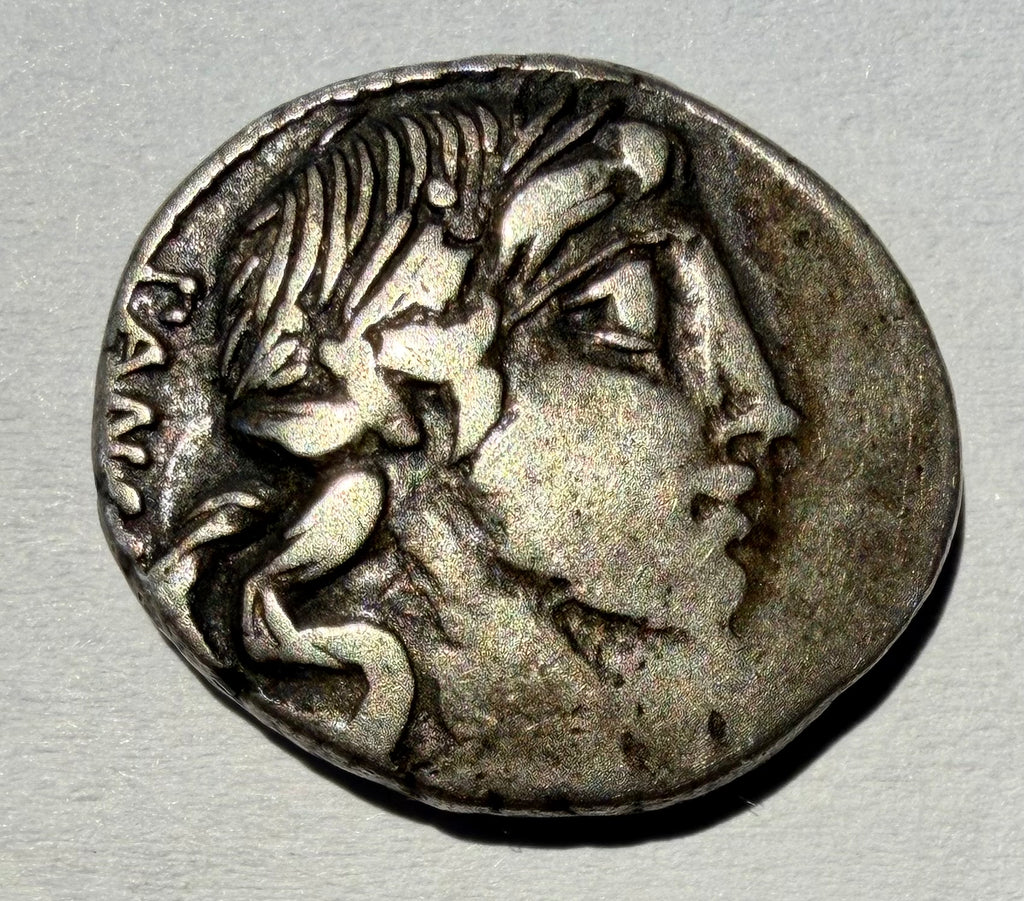 Roman Republic AR Denarius 90 BC C. Vibius C.f. Pansa Apollo Minerva Quadriga