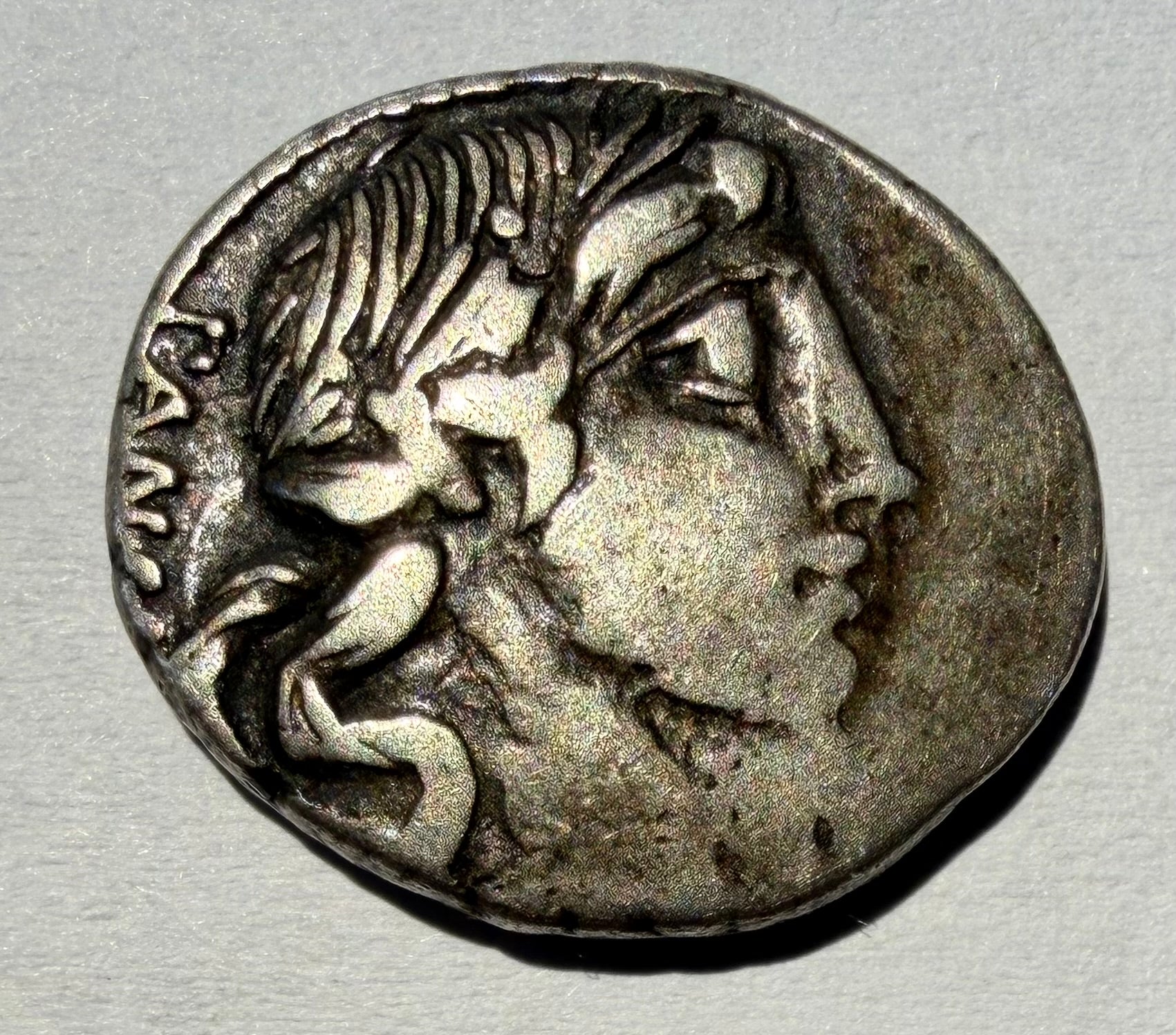 Roman Republic AR Denarius 90 BC C. Vibius C.f. Pansa Apollo Minerva Quadriga