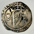 Henry VIII Hammered Silver Irish Groat - First Harp Coinage c.1534-1540 h-R