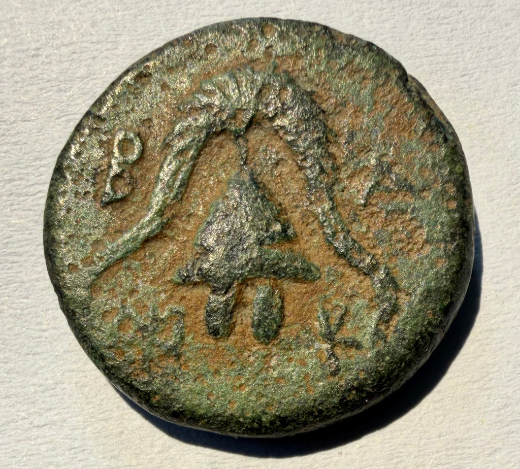 MACEDON Philip III Arrhidaios AE Half Unit 323-317 BC Gorgon Shield Helmet Kauno