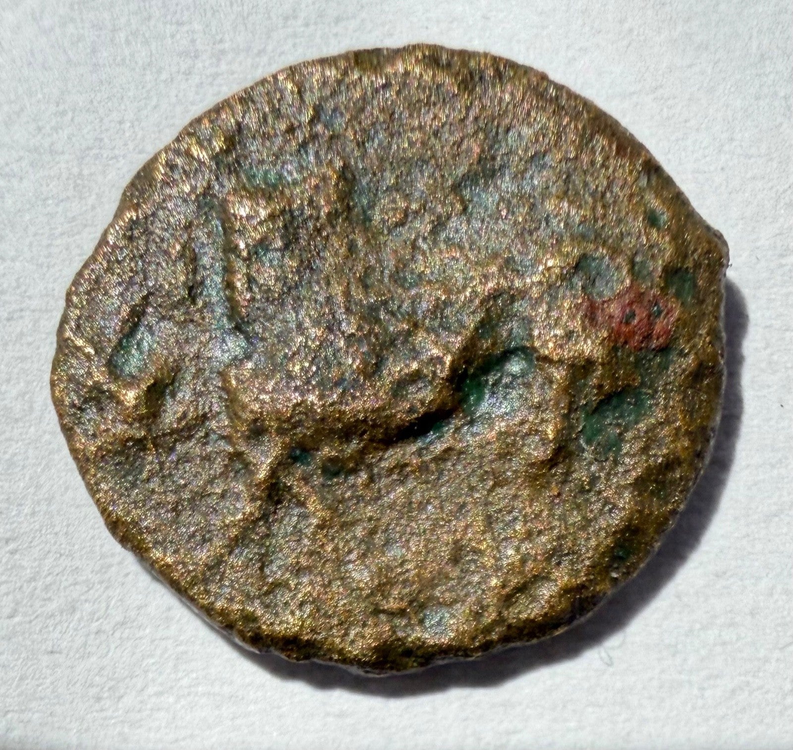 Solus, Sicily. AE Tetras ( Head of Herakles left/ Hippocamp left