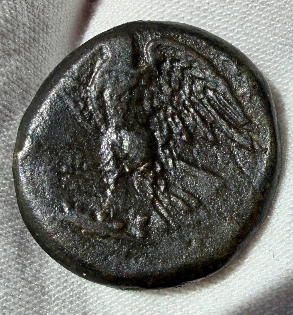 Sicily, Syracuse-Hiketas II-AE24, 11.14 grams